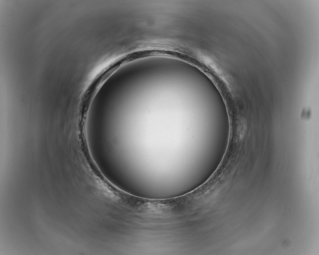 X0000091301312200708101259