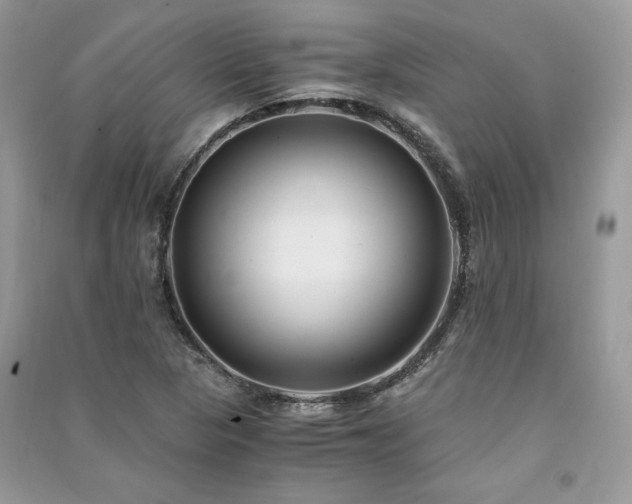 X0000091301313200708101259