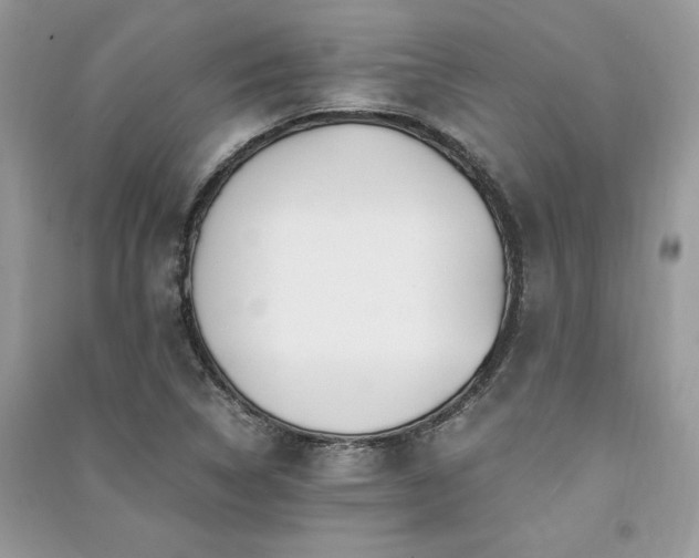X0000091301314200708101259