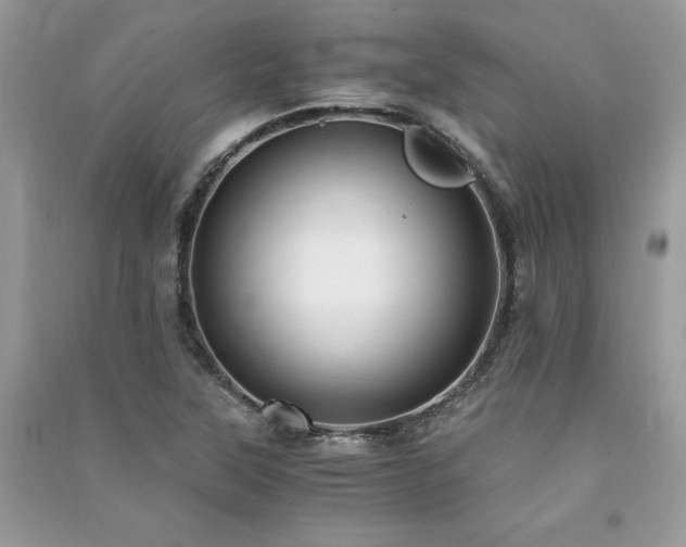 X0000091301315200708101259