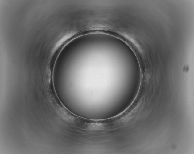 X0000091301317200708101259