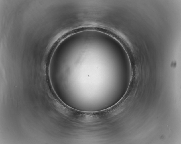 X0000091301318200708101259