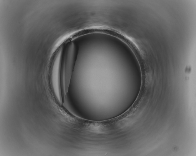 X0000091301319200708101259