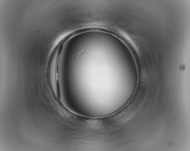 X0000091301320200708101259