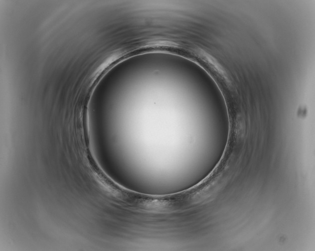 X0000091301321200708101259