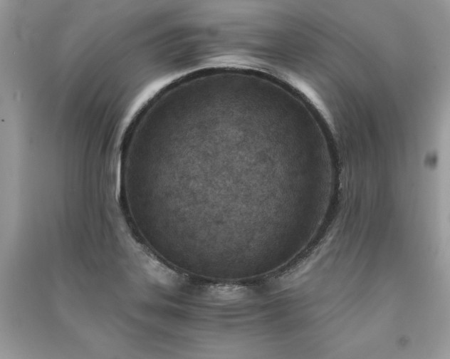 X0000091301323200708101259