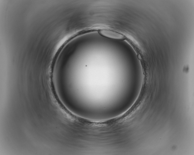 X0000091301325200708101259
