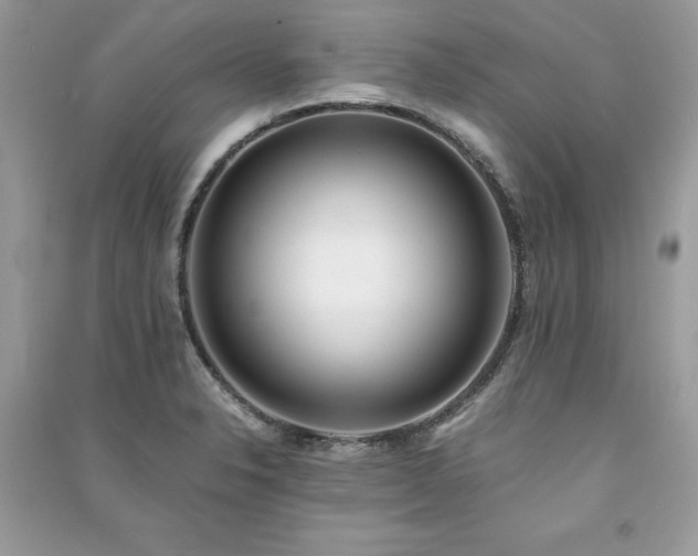 X0000091301326200708101259