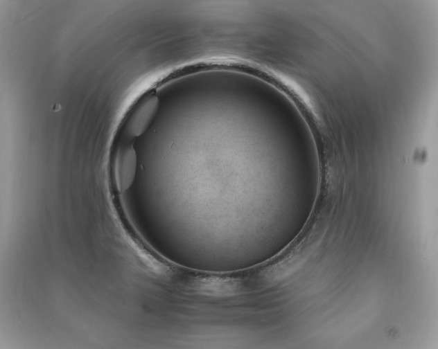 X0000091301327200708101259
