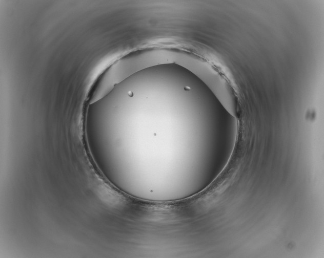 X0000091301328200708101259