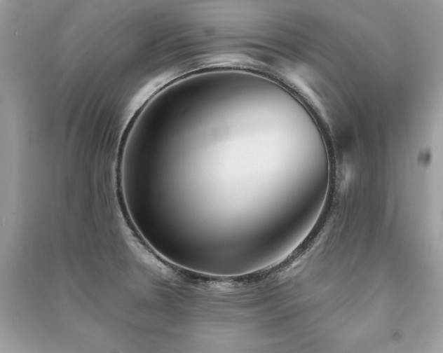X0000091301330200708101259