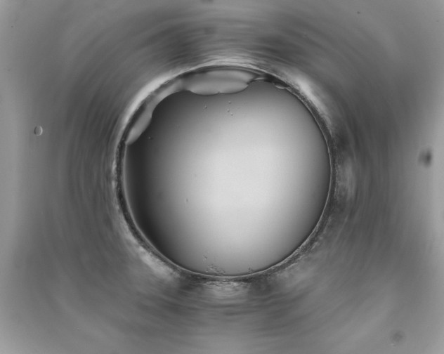 X0000091301331200708101259