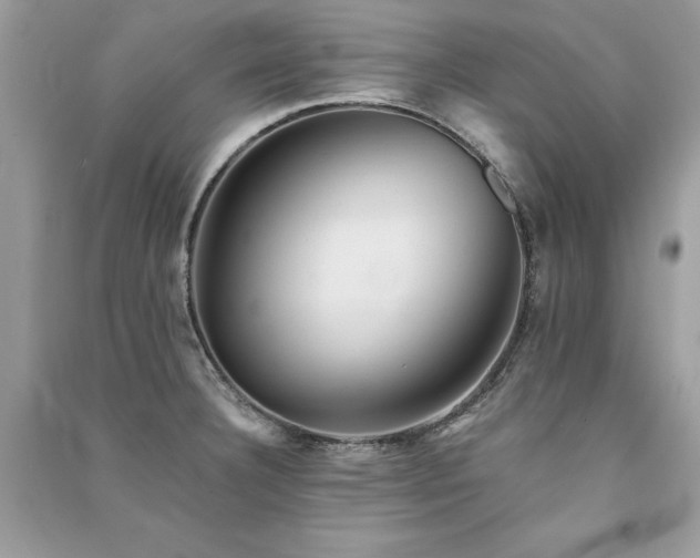 X0000091301332200708101259