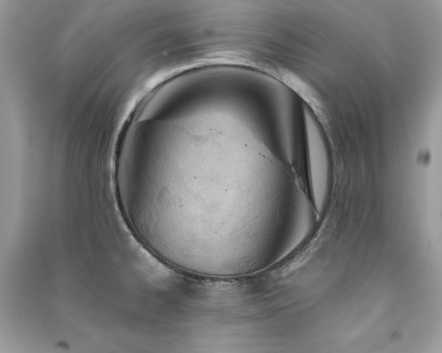X0000091301334200708101300