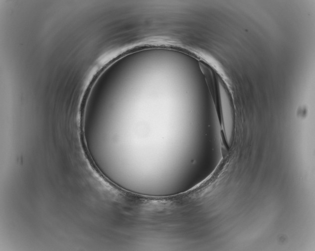 X0000091301335200708101300
