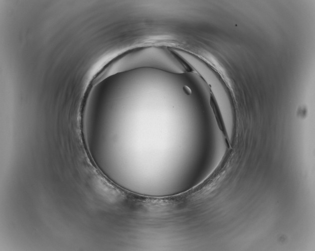X0000091301336200708101300