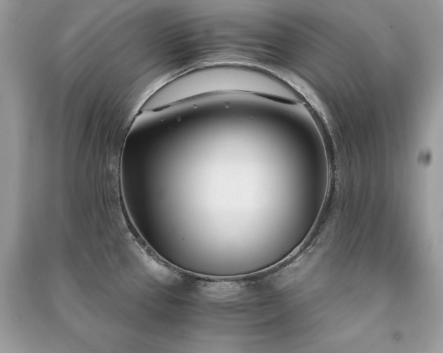 X0000091301337200708101300