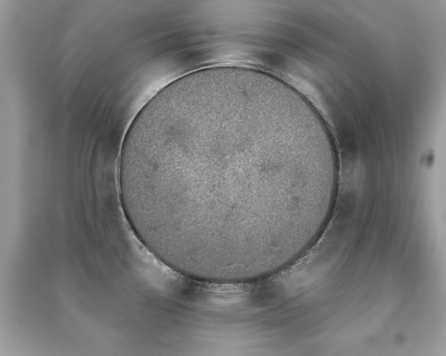 X0000091301338200708101300