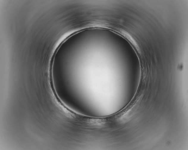 X0000091301339200708101300