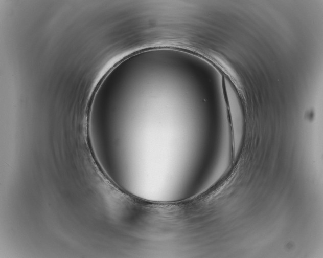 X0000091301340200708101300