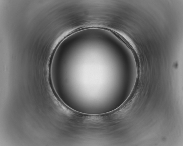 X0000091301341200708101300