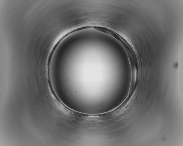 X0000091301342200708101300