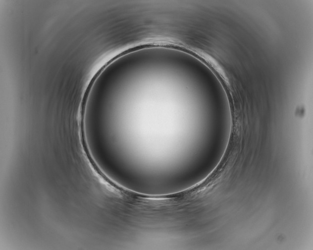X0000091301343200708101300