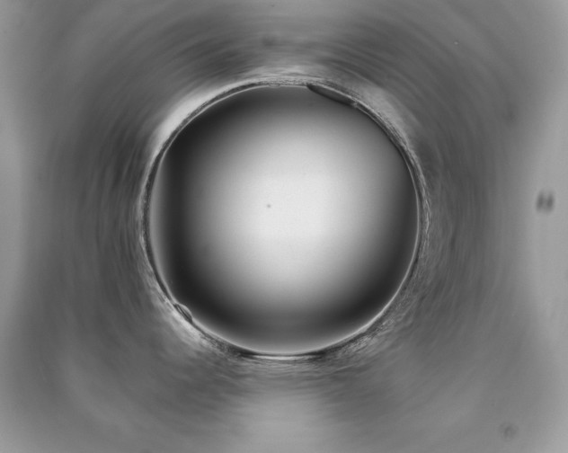 X0000091301344200708101300