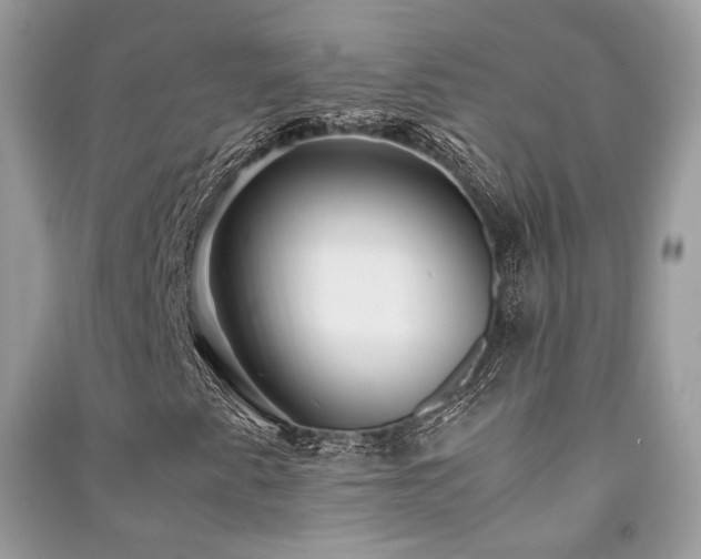 X0000091301345200708101259