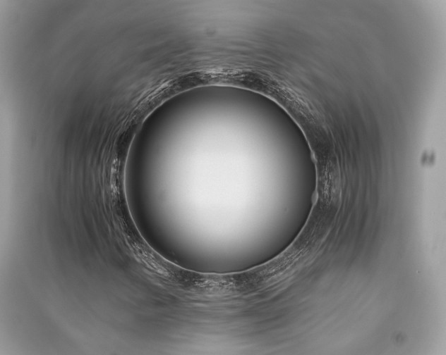 X0000091301346200708101259