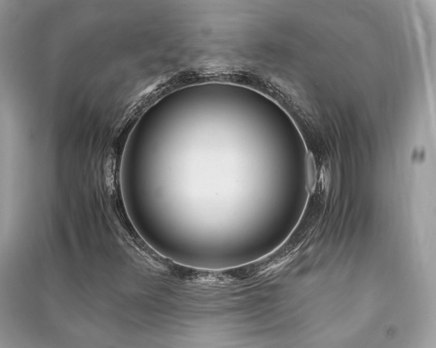 X0000091301348200708101259