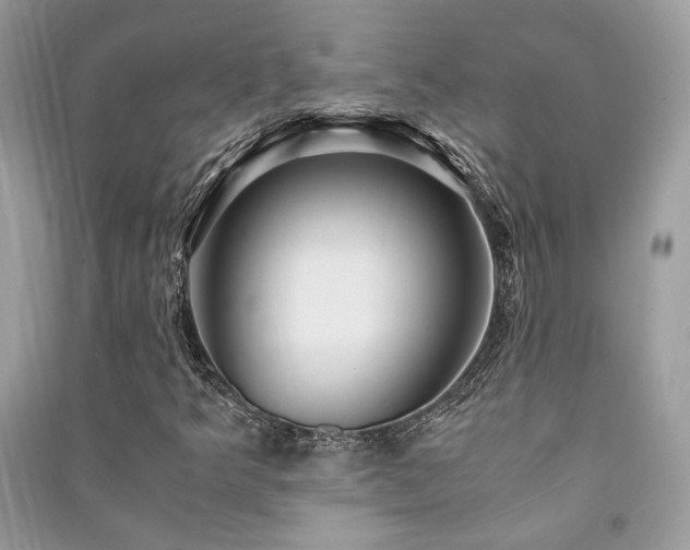 X0000091301349200708101259