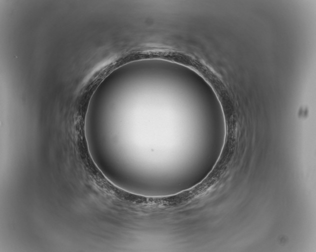 X0000091301351200708101259