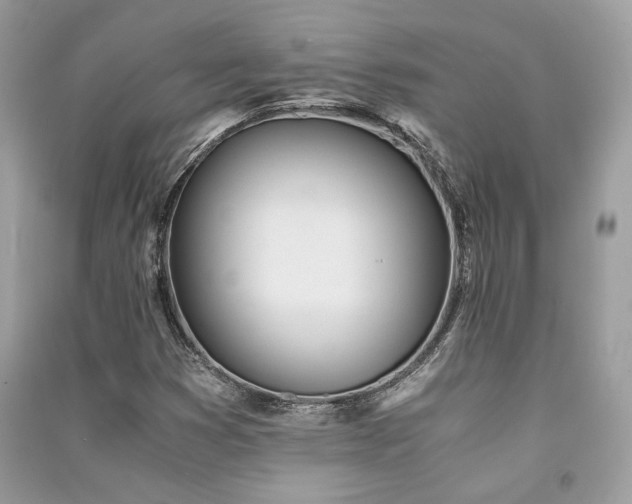 X0000091301353200708101259