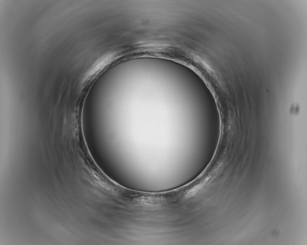 X0000091301354200708101259