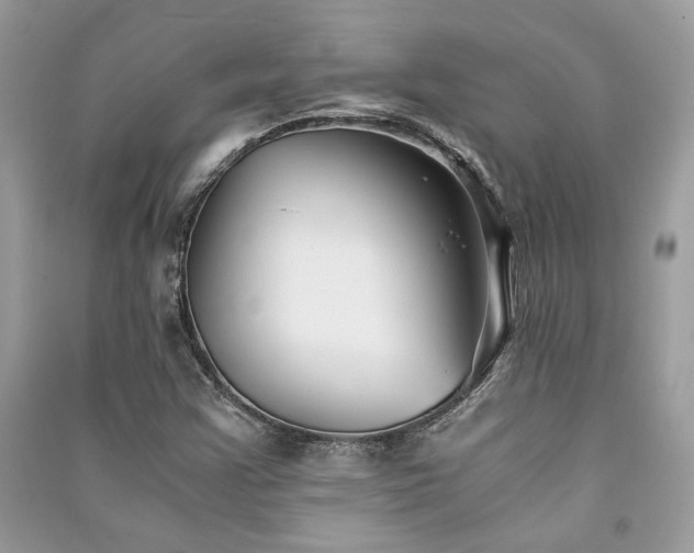 X0000091301355200708101259