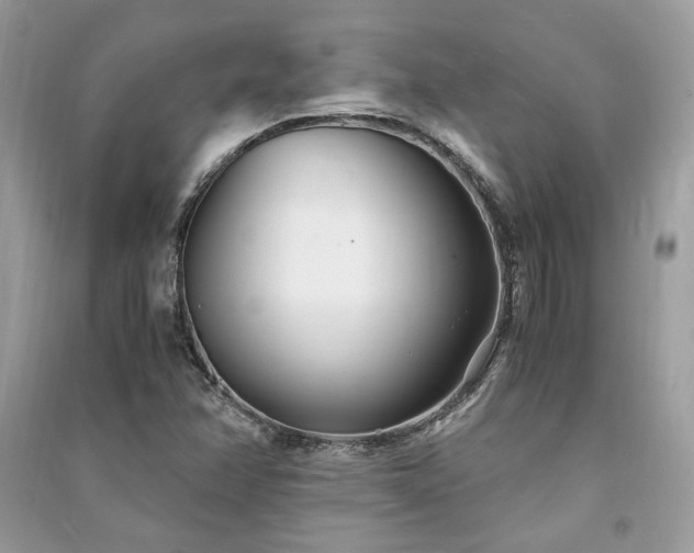 X0000091301358200708101259