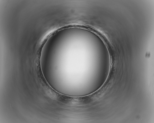 X0000091301359200708101259