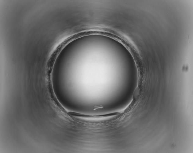 X0000091301360200708101259