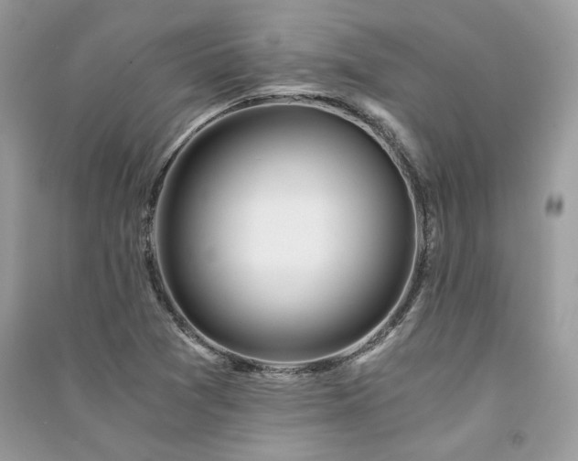 X0000091301361200708101259