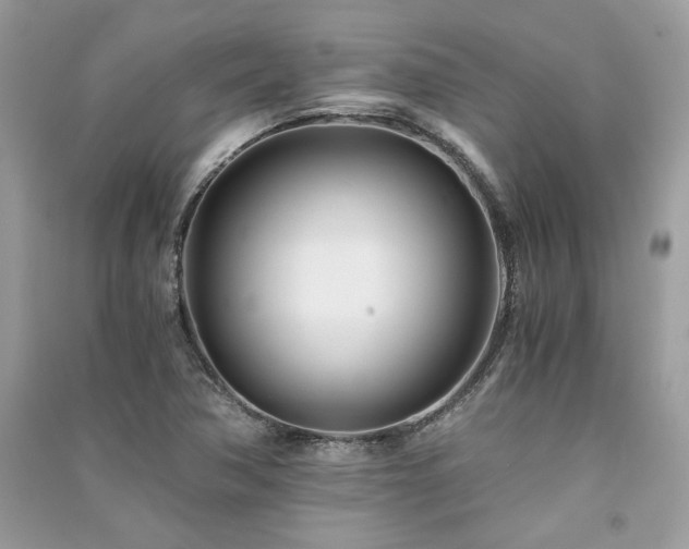 X0000091301362200708101259