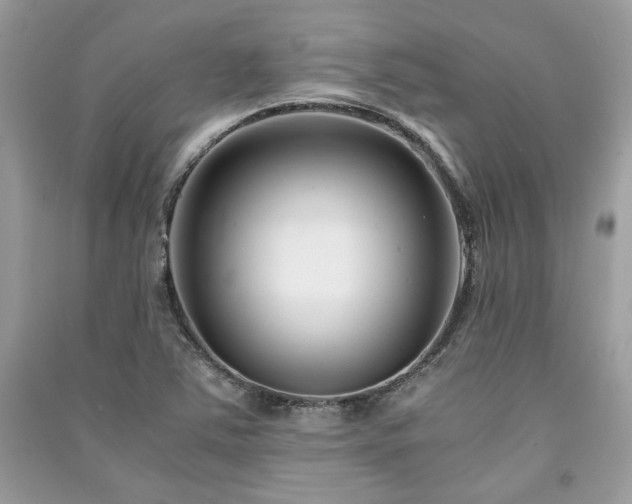 X0000091301363200708101259