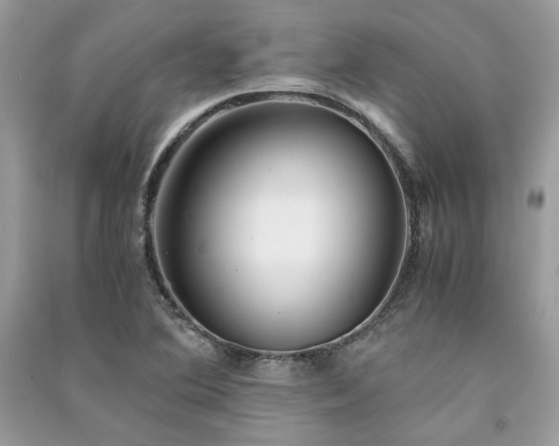 X0000091301364200708101259