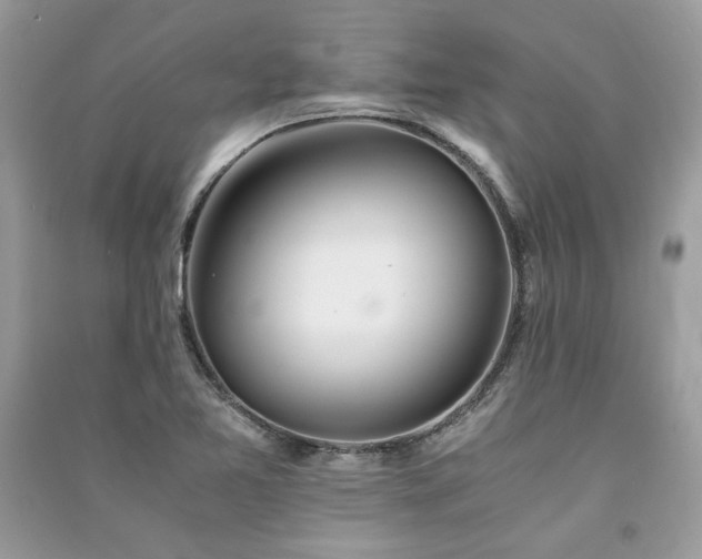 X0000091301365200708101259
