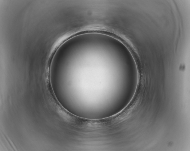 X0000091301366200708101259