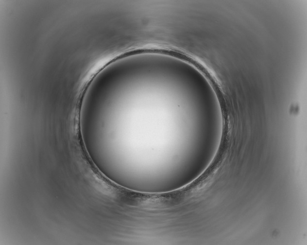X0000091301367200708101259