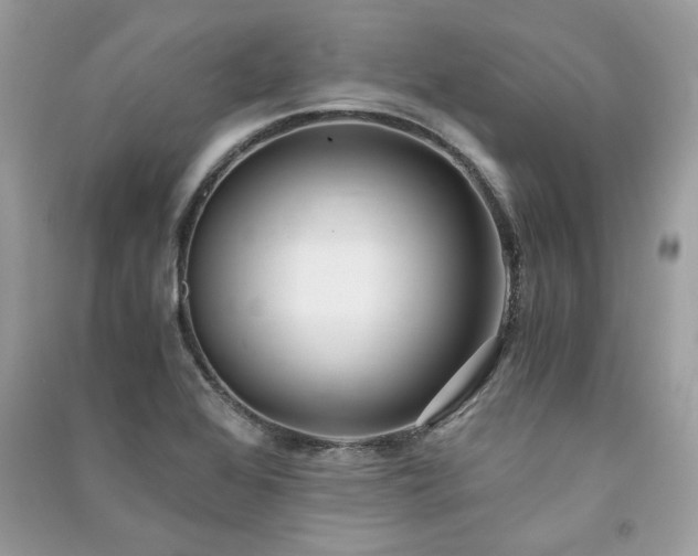 X0000091301368200708101259