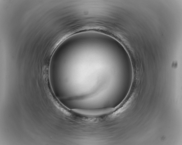 X0000091301369200708101259