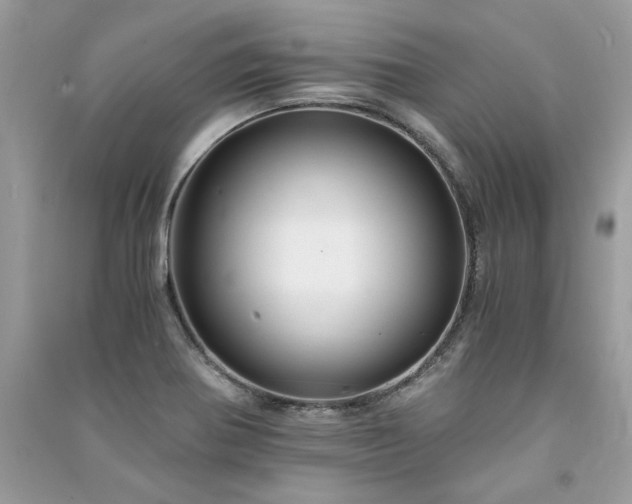 X0000091301370200708101259
