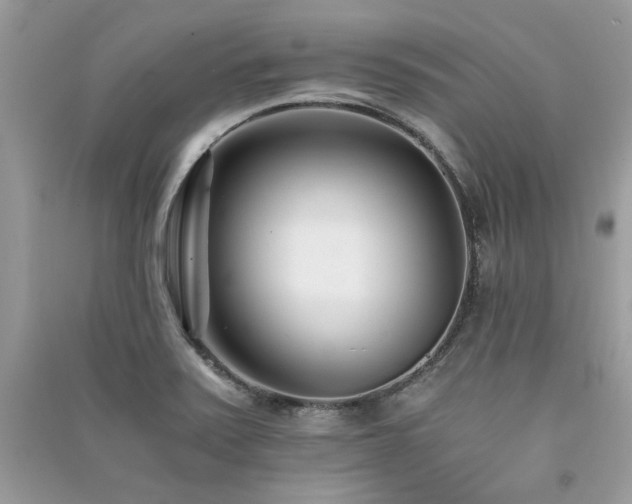 X0000091301371200708101259